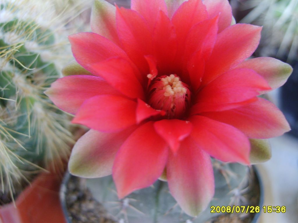 003