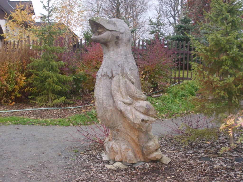 S6000482.JPG