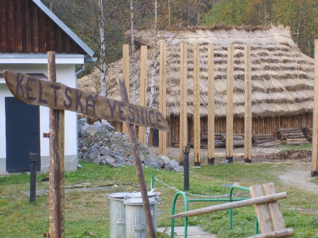 S6000218.JPG