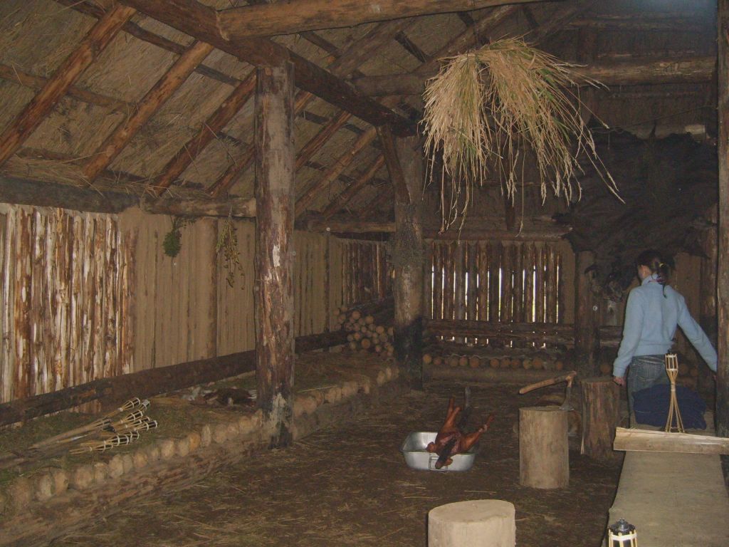 S6000442.JPG