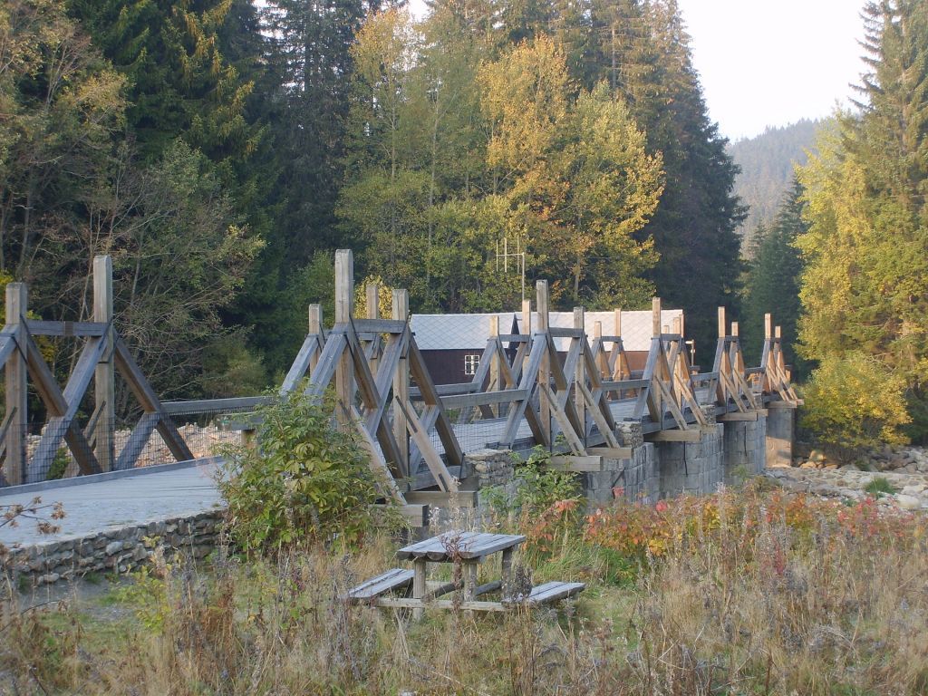 S6000235.JPG
