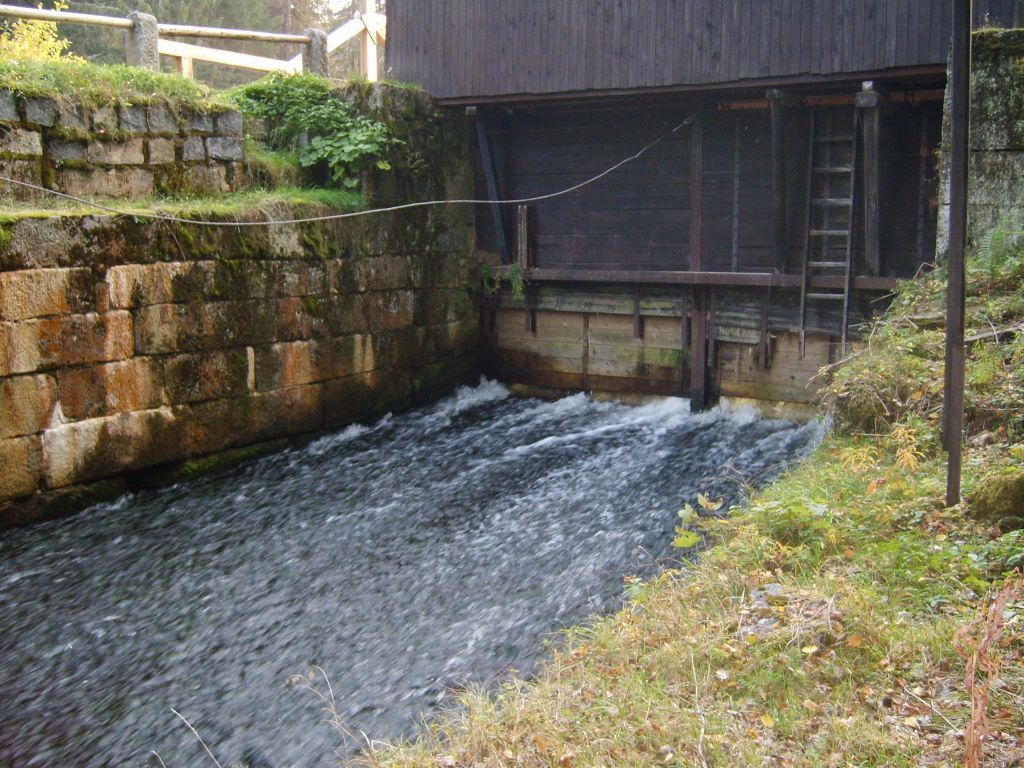 S6000243.JPG
