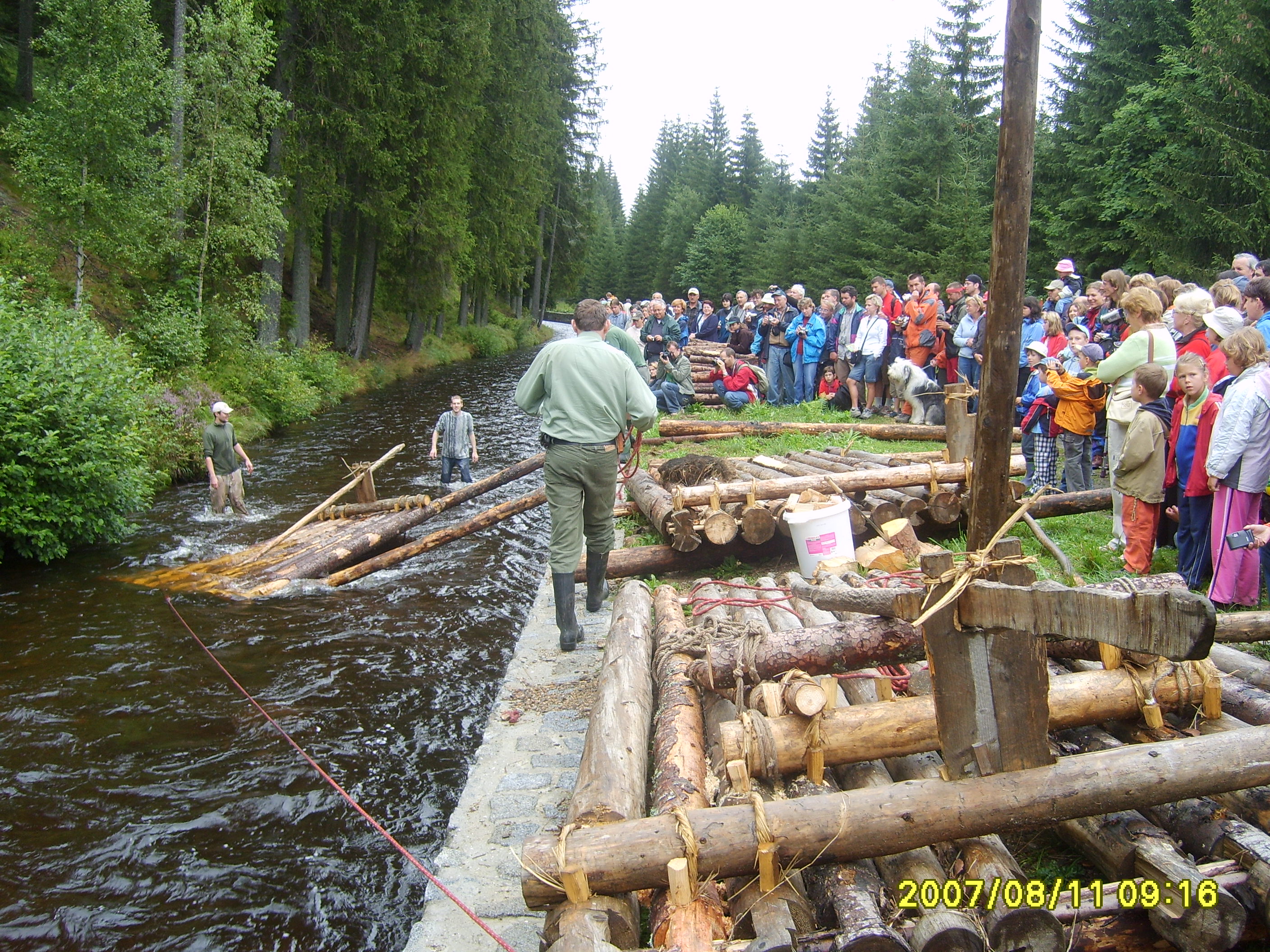 S6007769.JPG