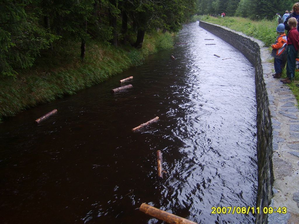 S6007777.JPG