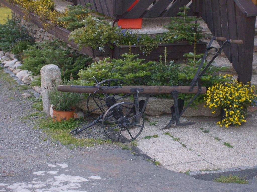 S6000256.JPG