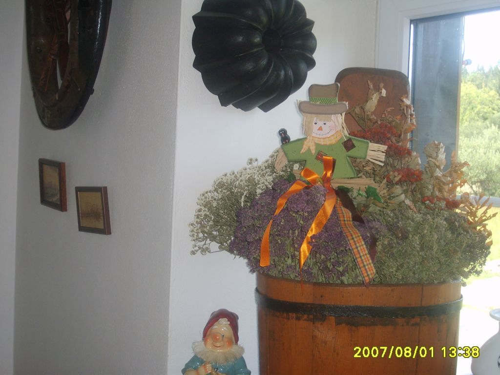 S6007629.JPG