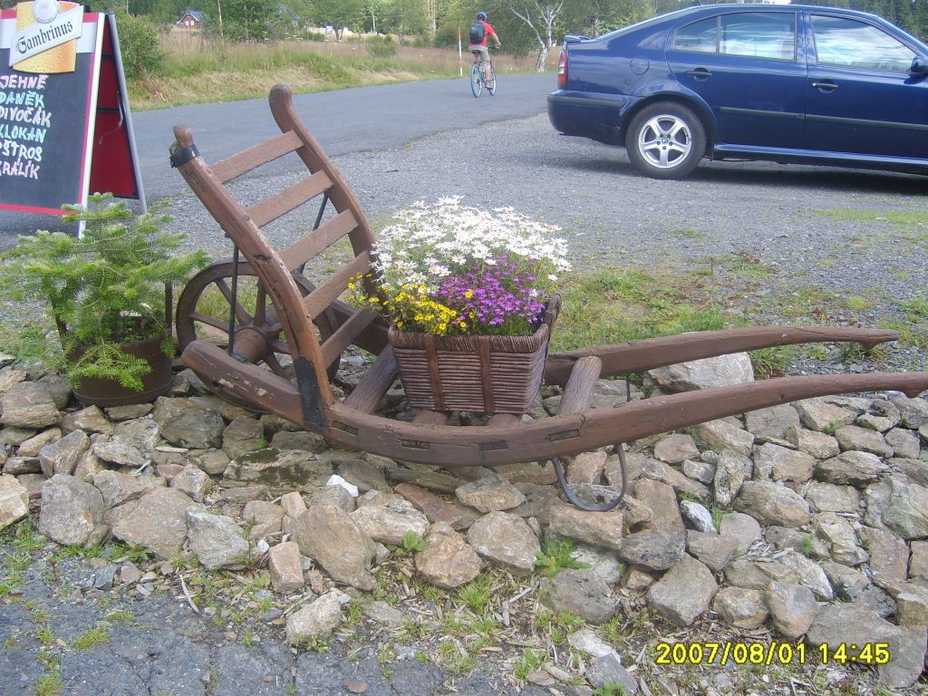 S6007636.JPG