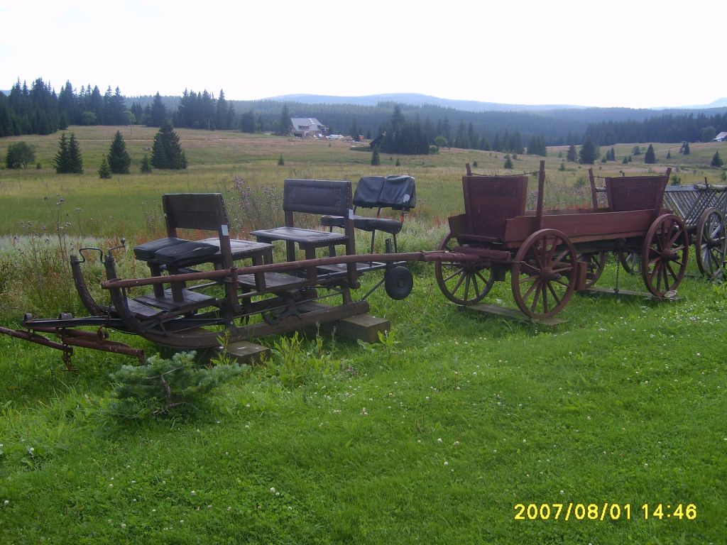 S6007638.JPG