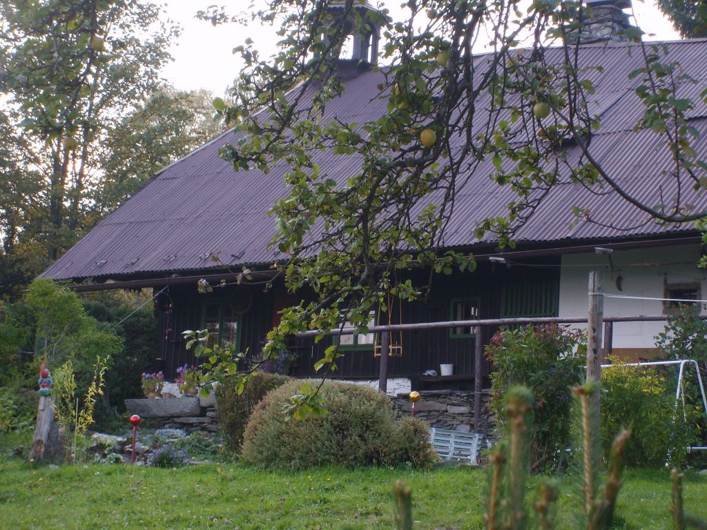 S6000231.JPG