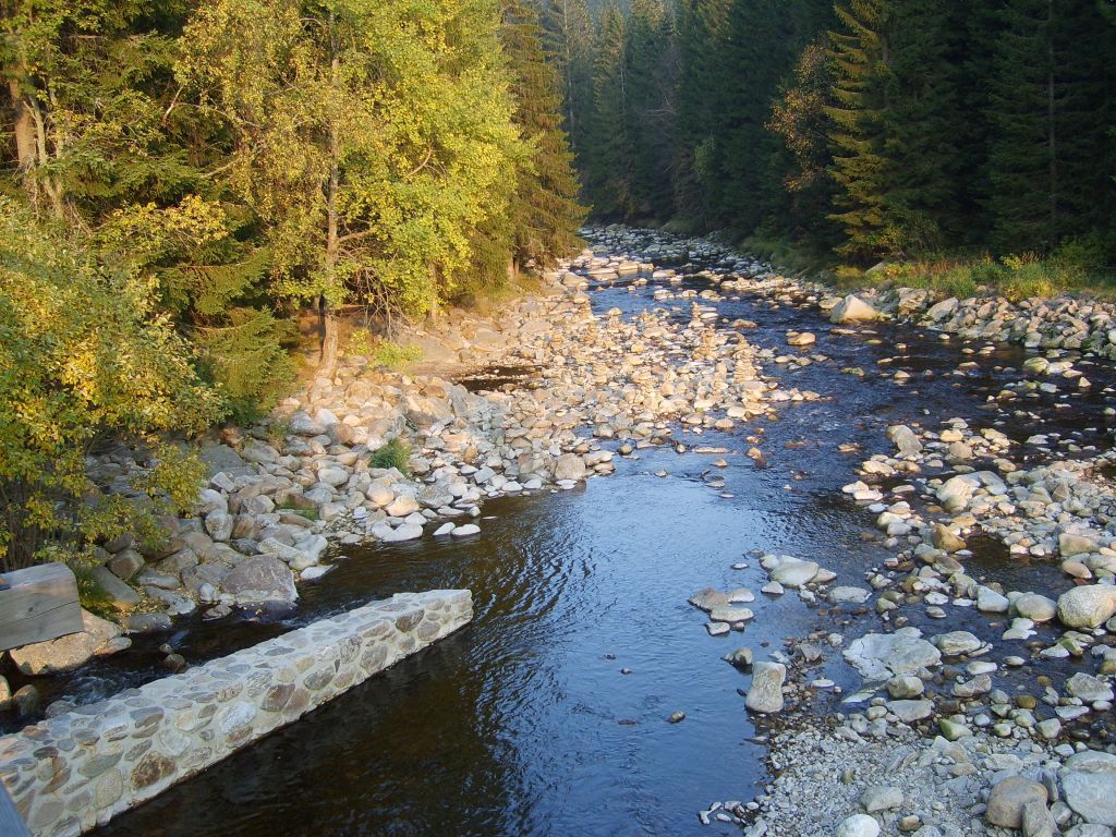S6000238.JPG