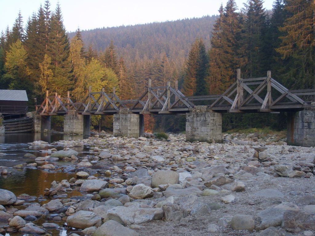 S6000247.JPG
