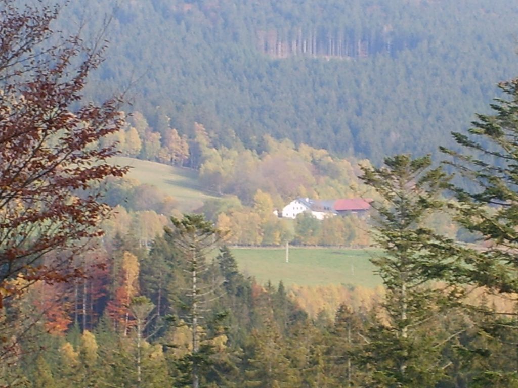 S6000343.JPG