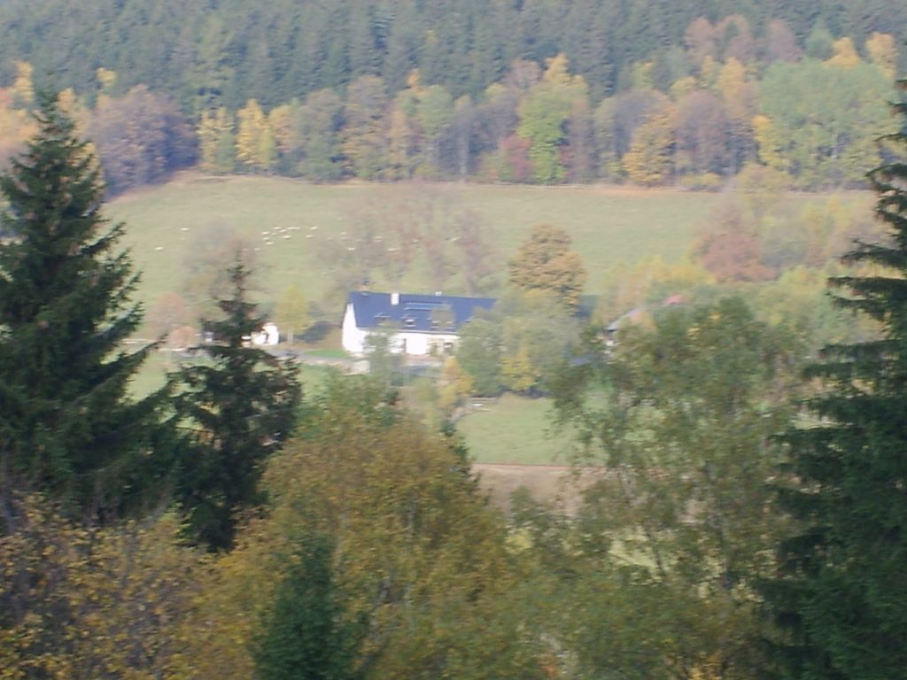 S6000345.JPG