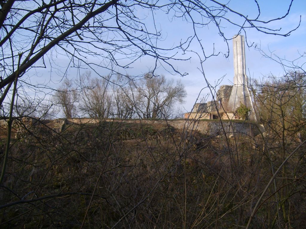 S6000844.JPG