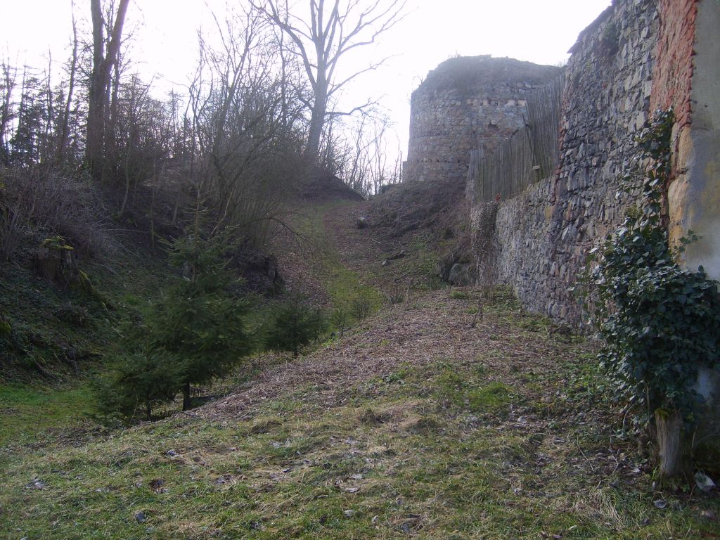 S6000787.JPG