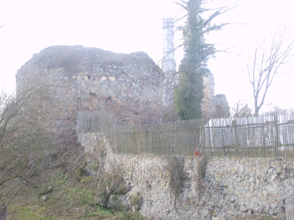 S6000788.JPG