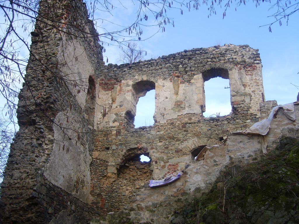 S6000799.JPG