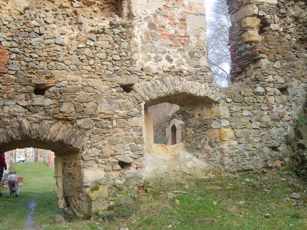 S6000803.JPG