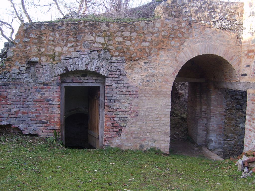 S6000807.JPG