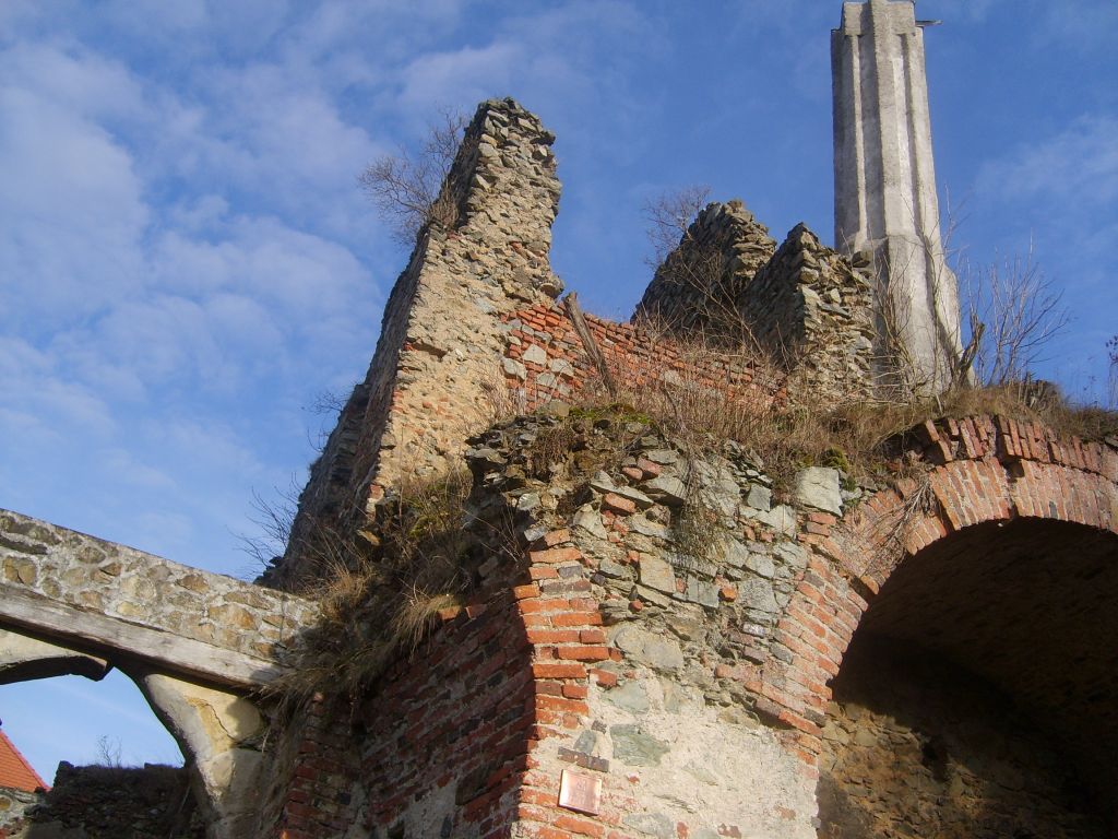 S6000811.JPG