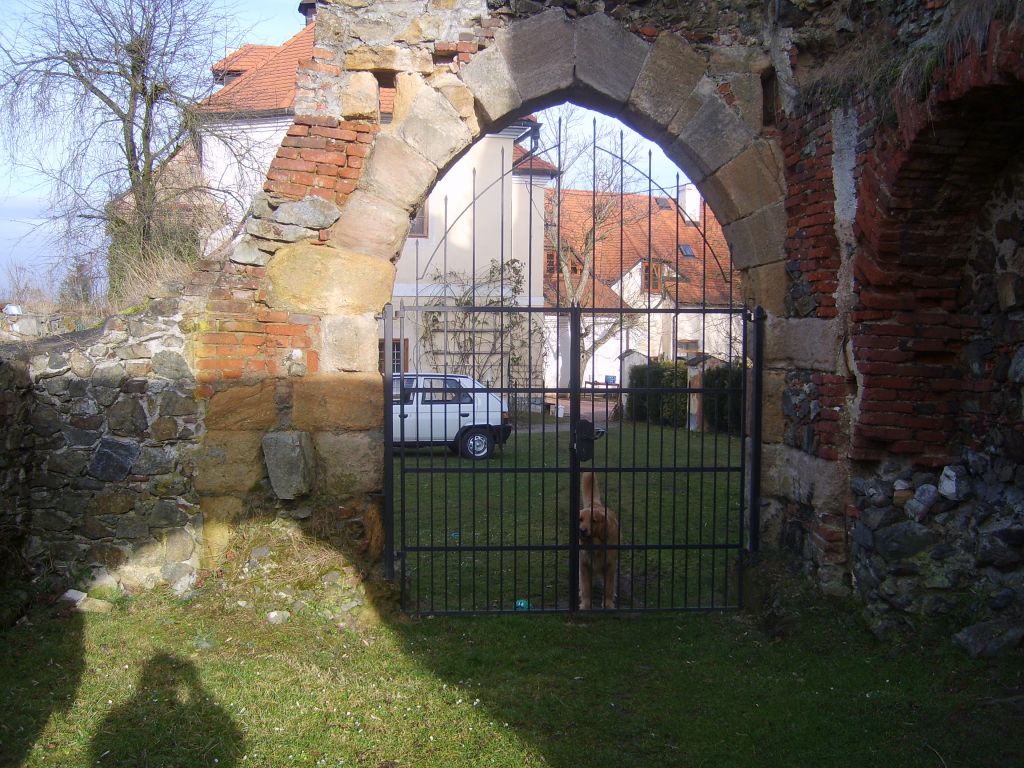 S6000812.JPG
