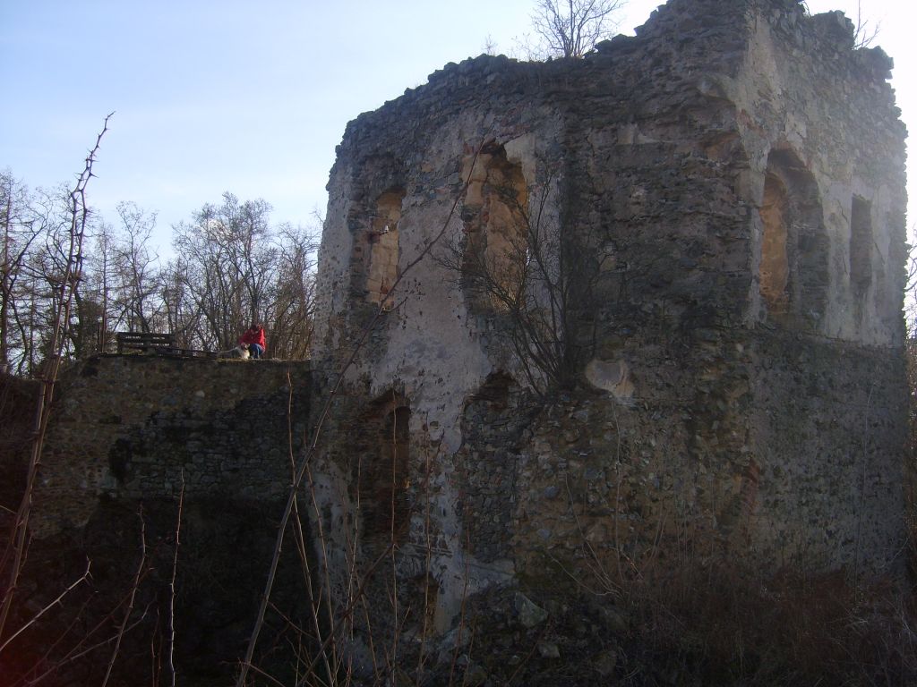 S6000827.JPG