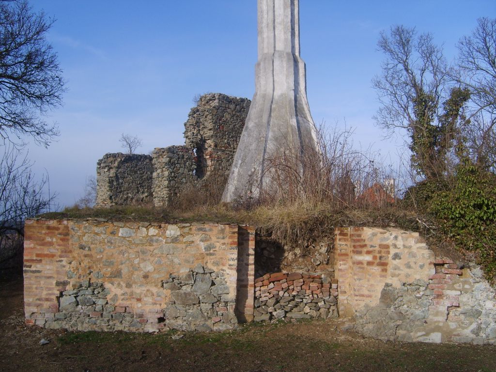 S6000831.JPG