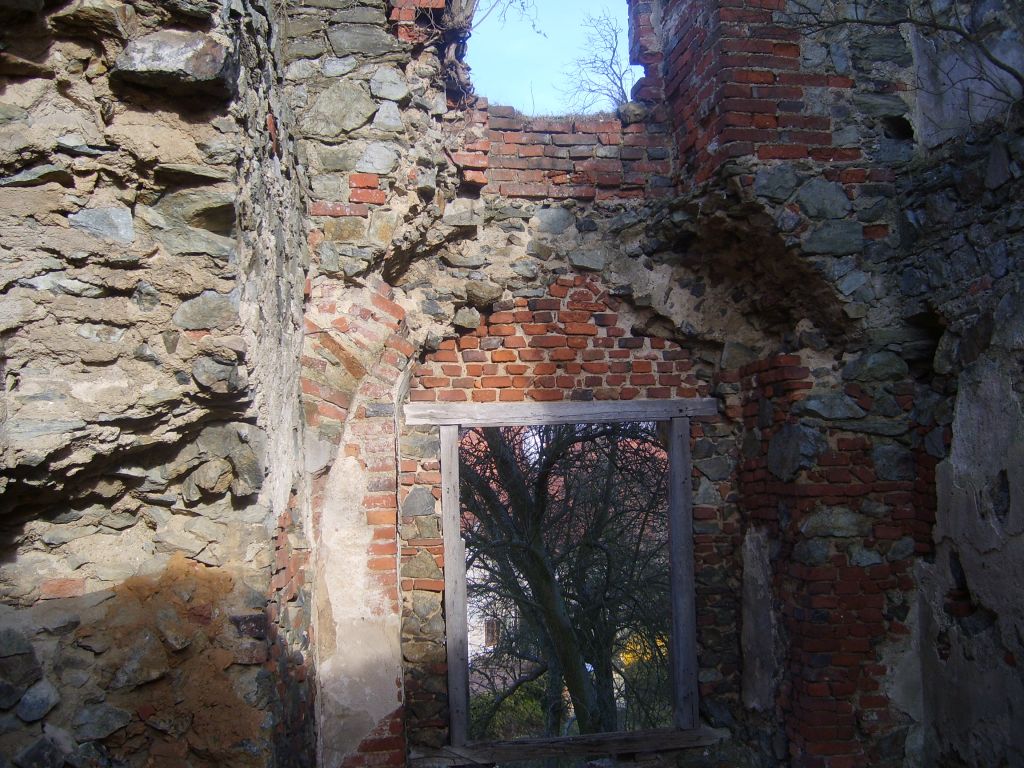 S6000834.JPG