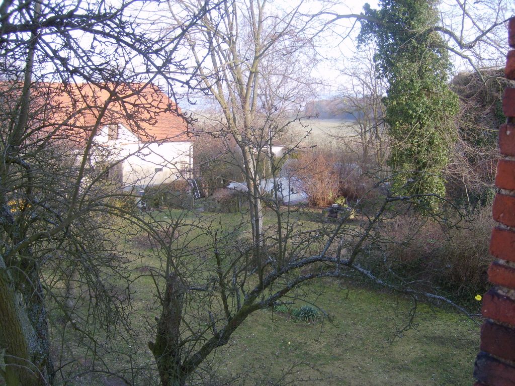 S6000836.JPG