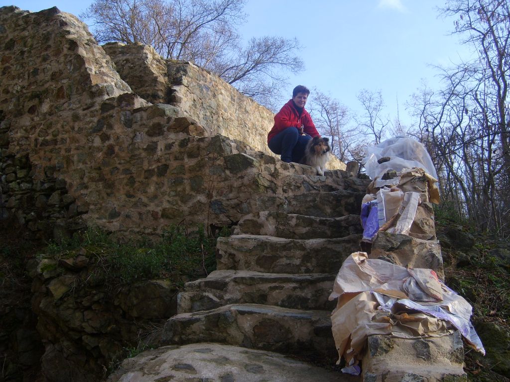 S6000842.JPG