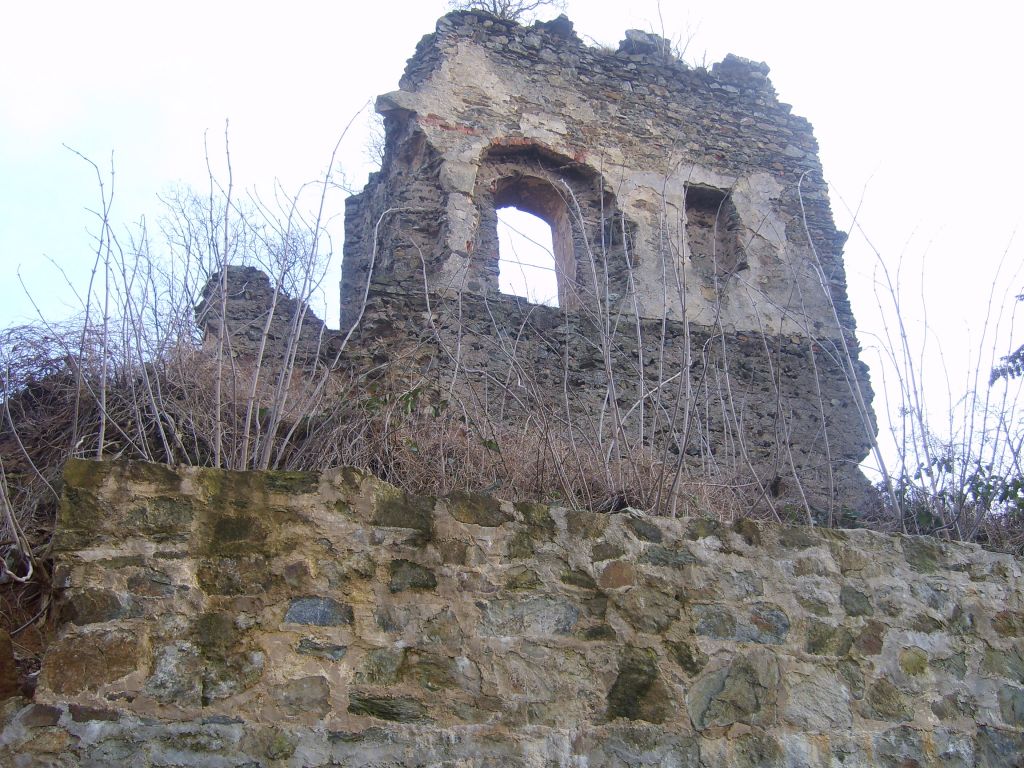 S6000854.JPG