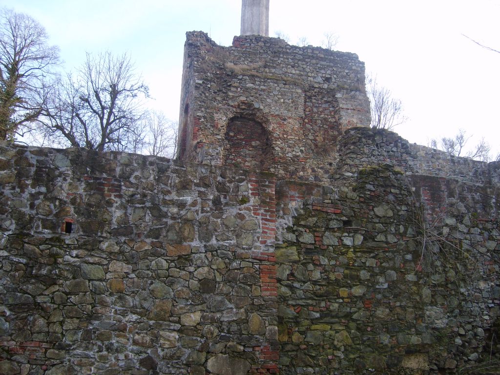 S6000859.JPG