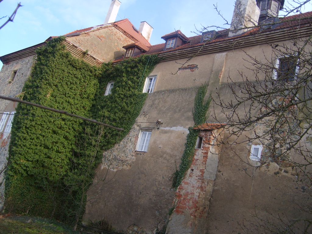 S6000860.JPG