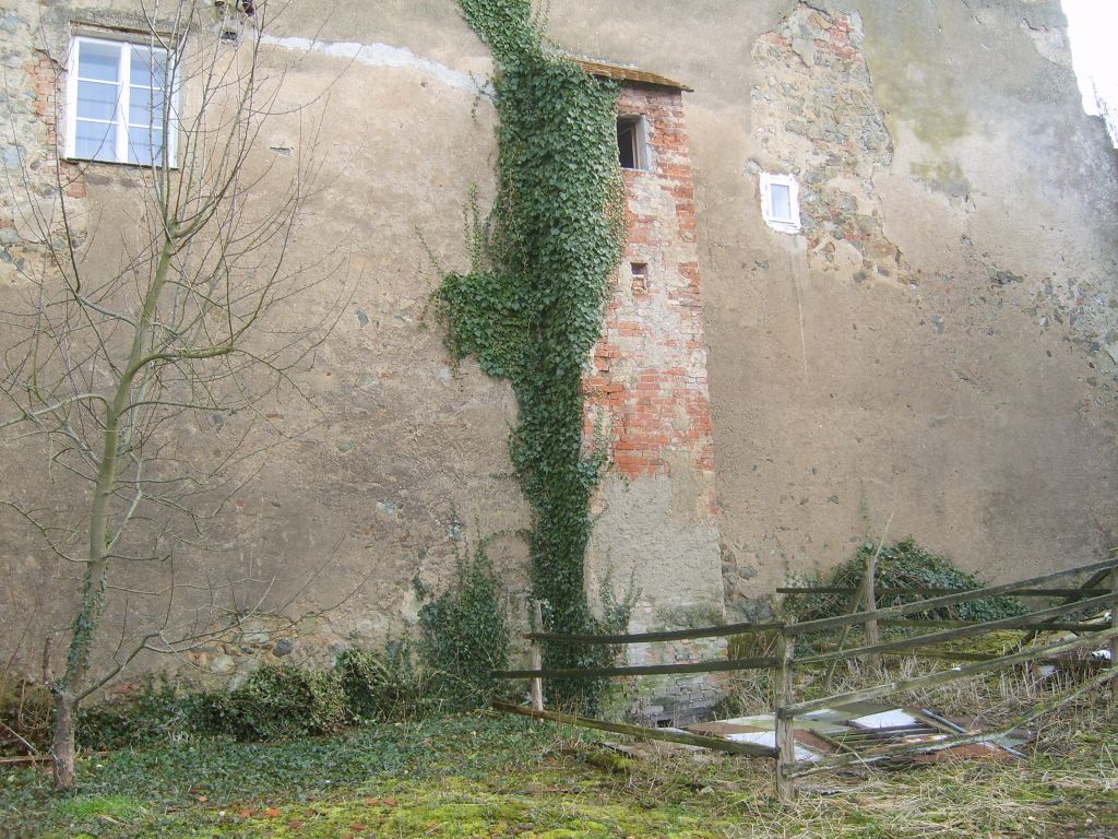 S6000863.JPG