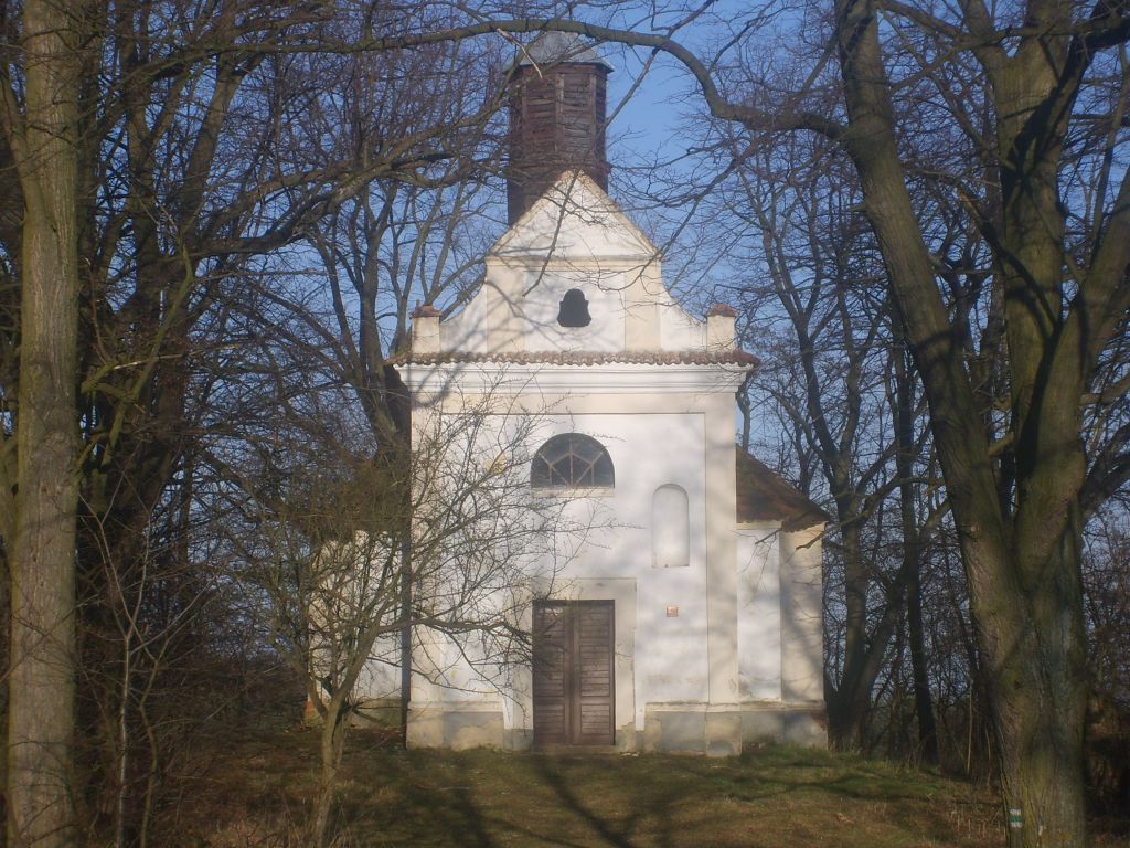 S6001011.JPG