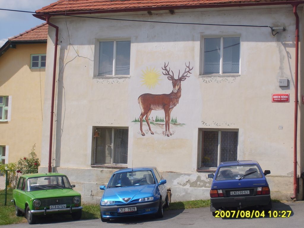 S6007688.JPG