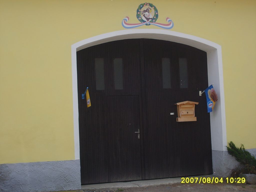 S6007689.JPG