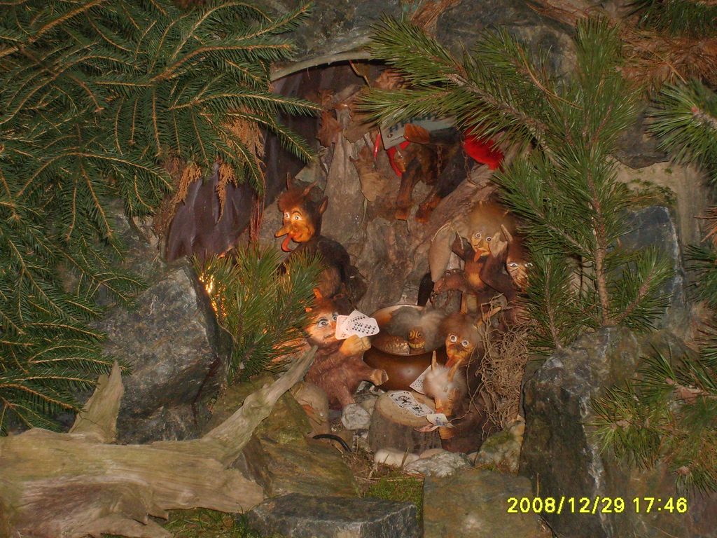 S6009082.JPG