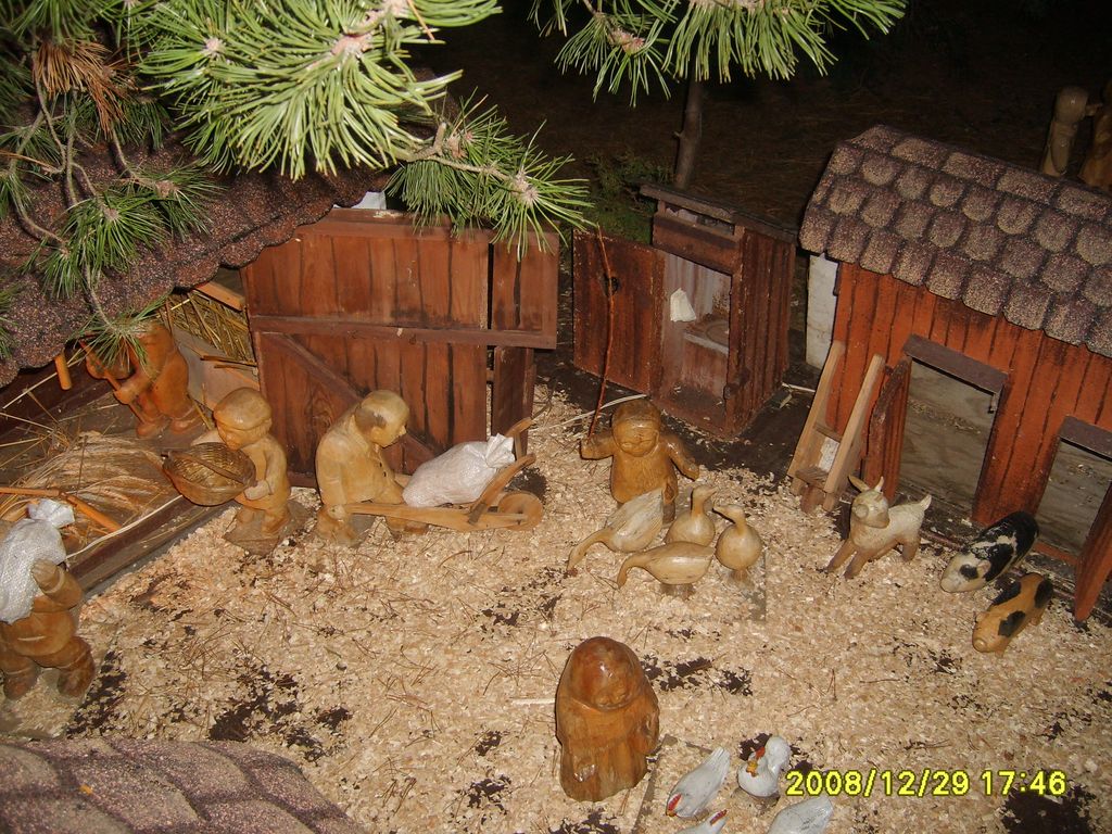 S6009085.JPG