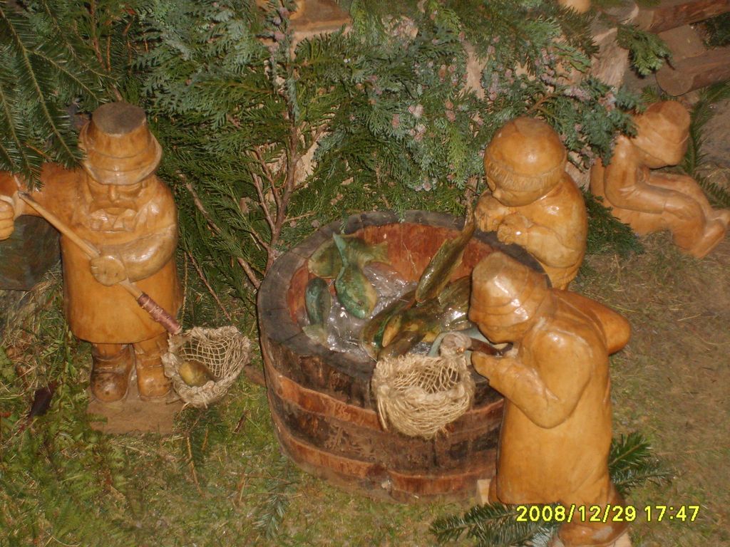 S6009089.JPG
