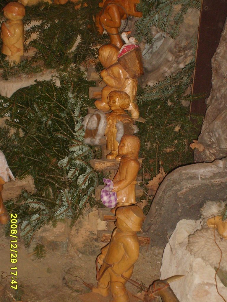 S6009090.JPG