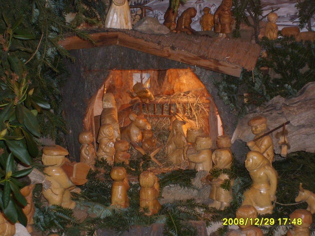 S6009091.JPG
