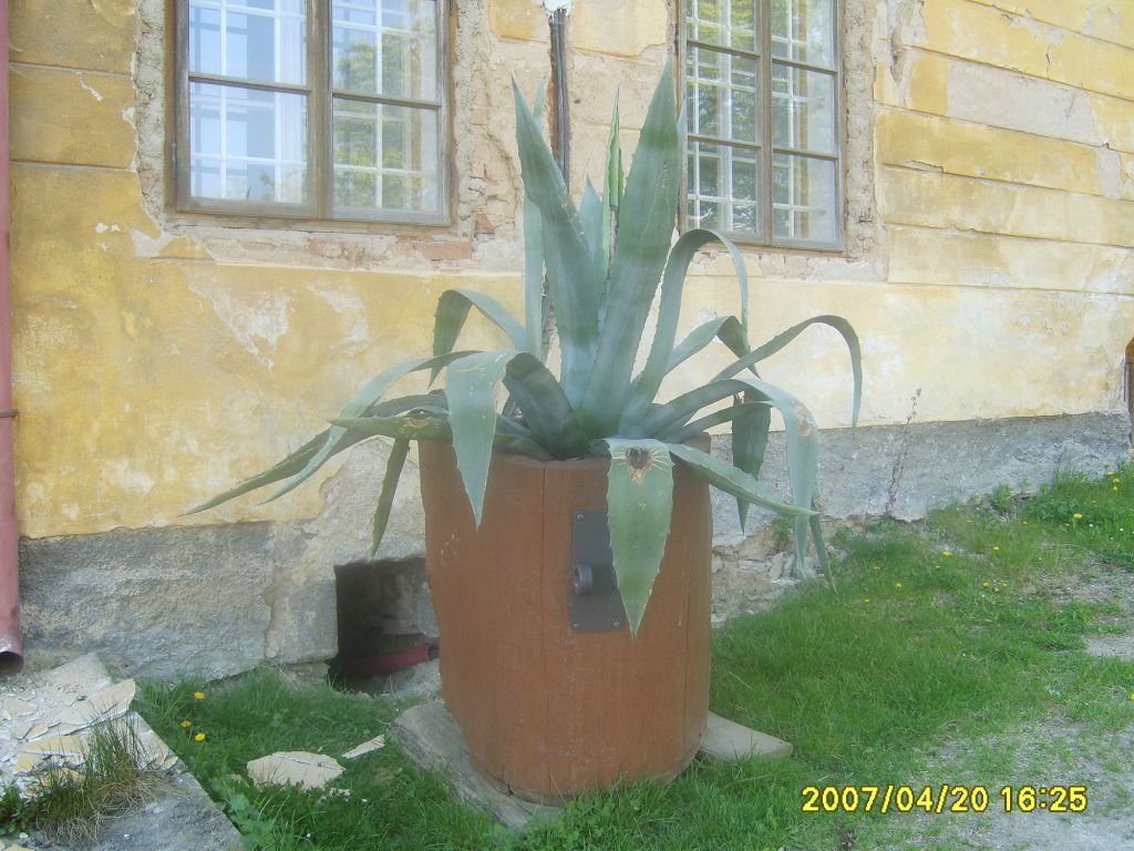 S6001109.JPG