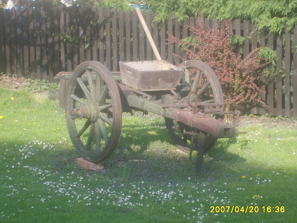 S6001110.JPG