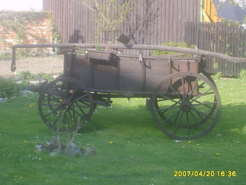 S6001111.JPG