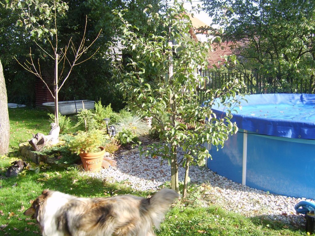 S6000320.JPG