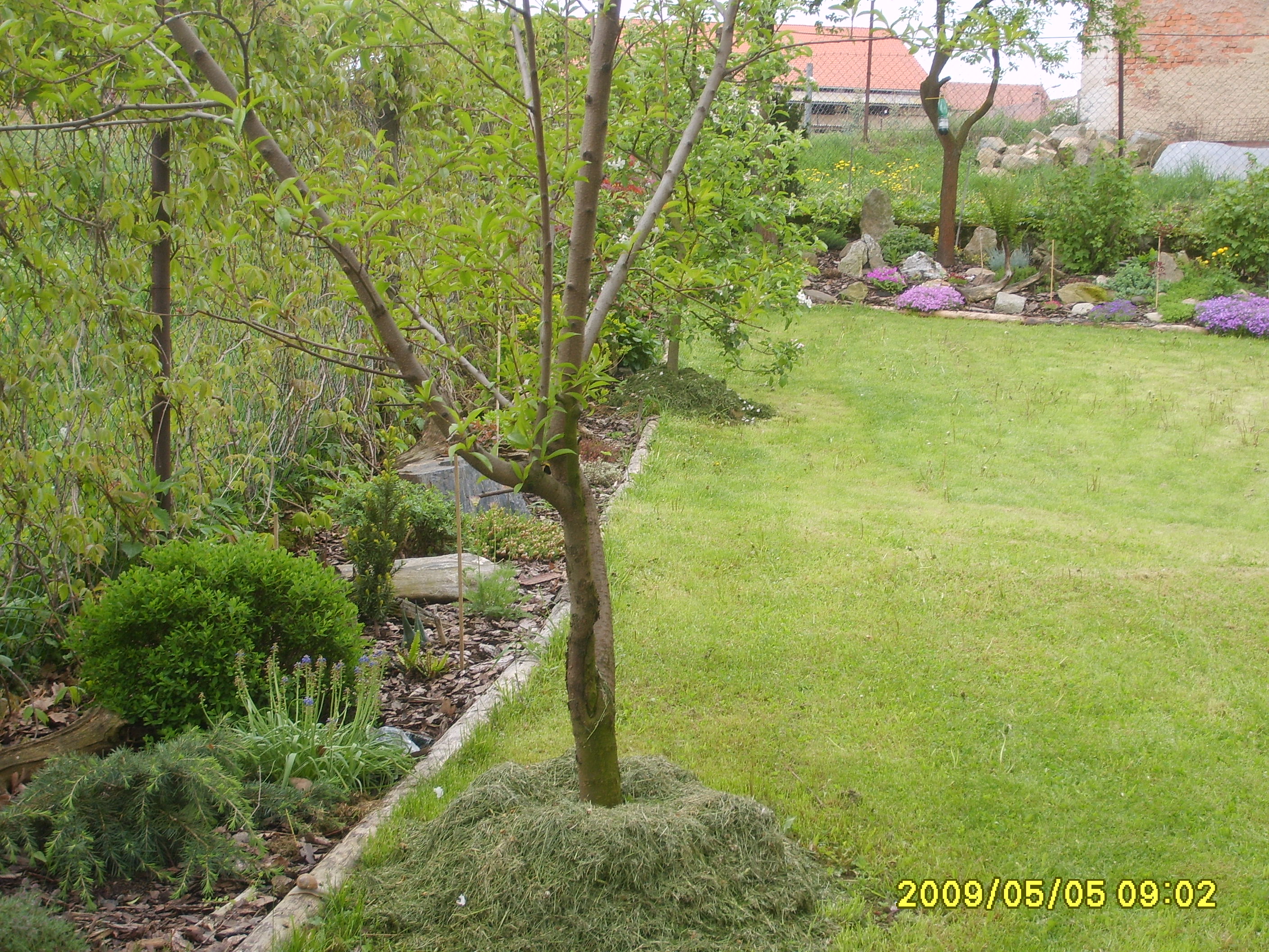 S6009489.JPG