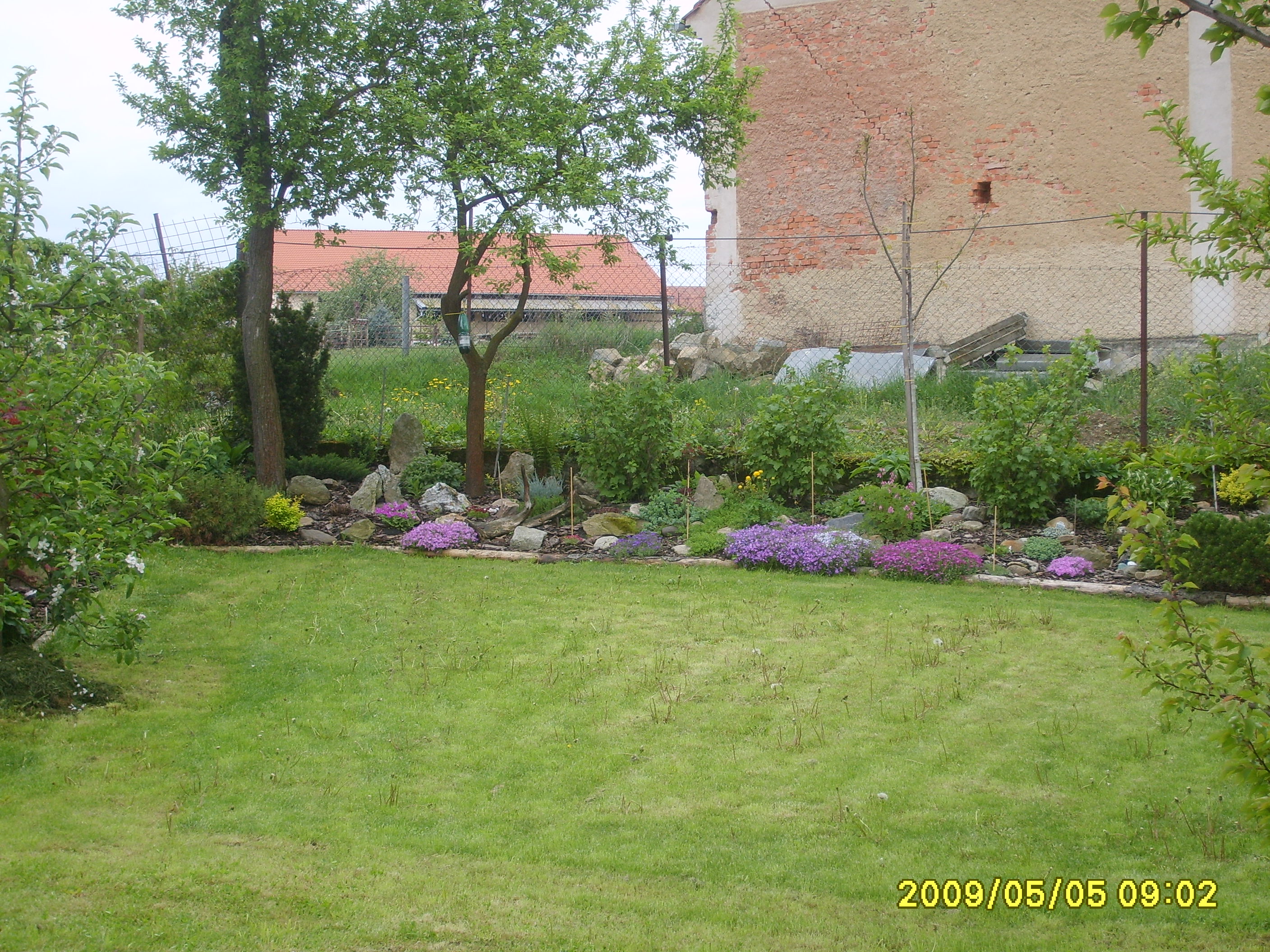 S6009488.JPG