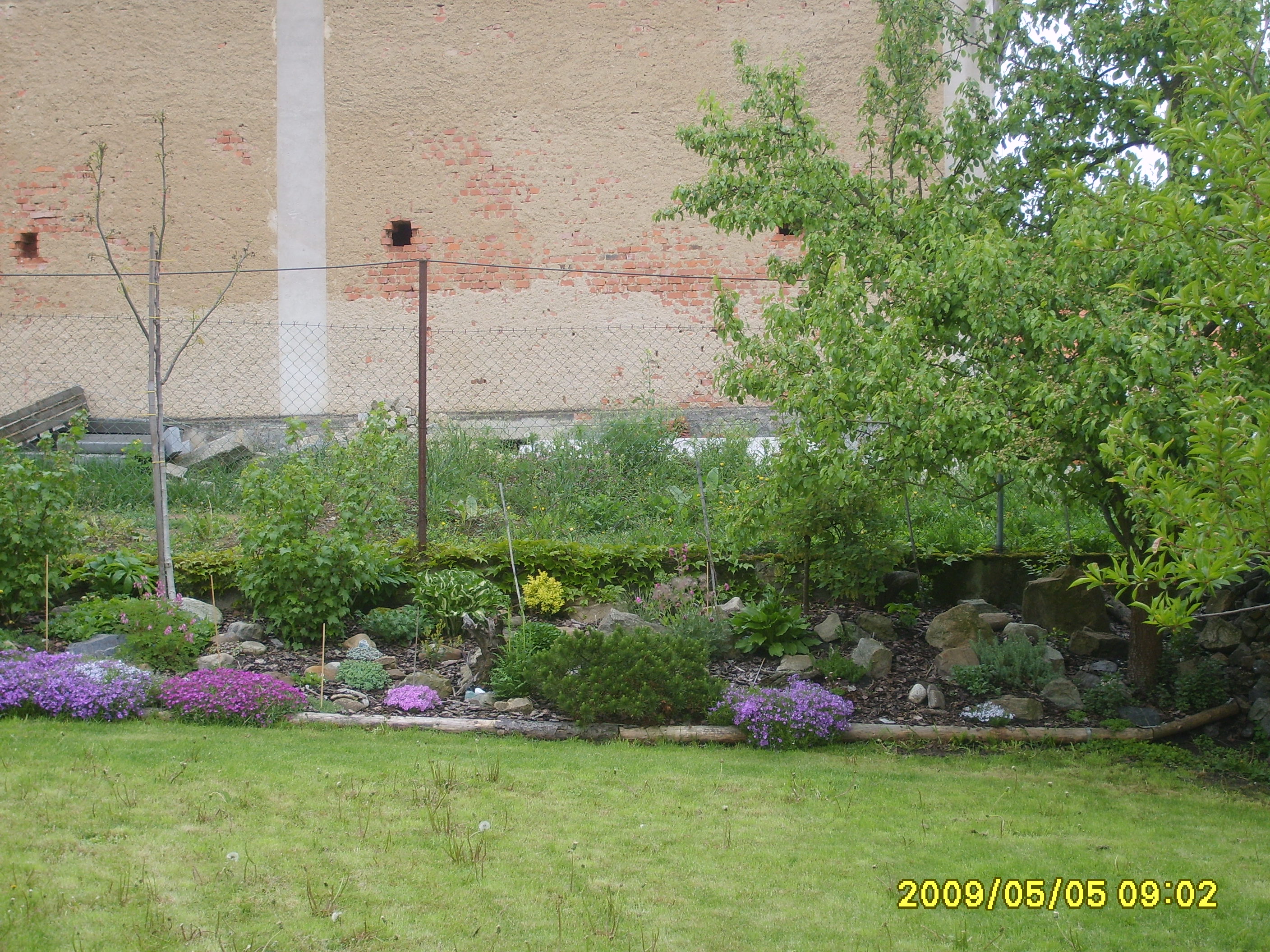 S6009487.JPG
