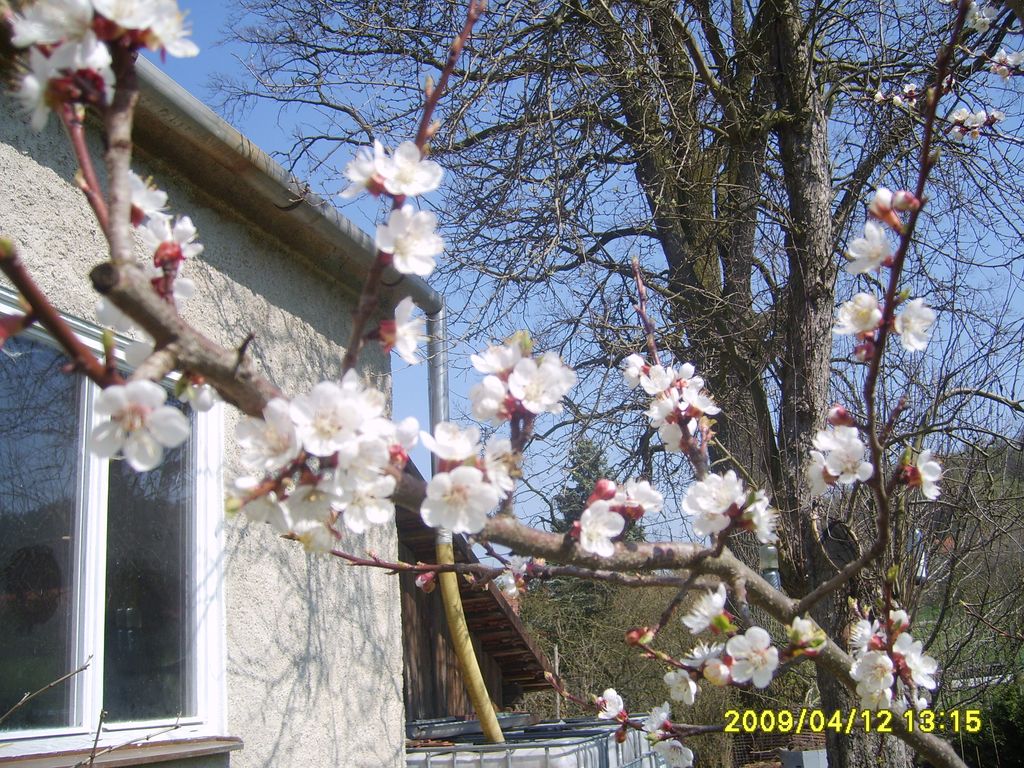 S6009443.JPG